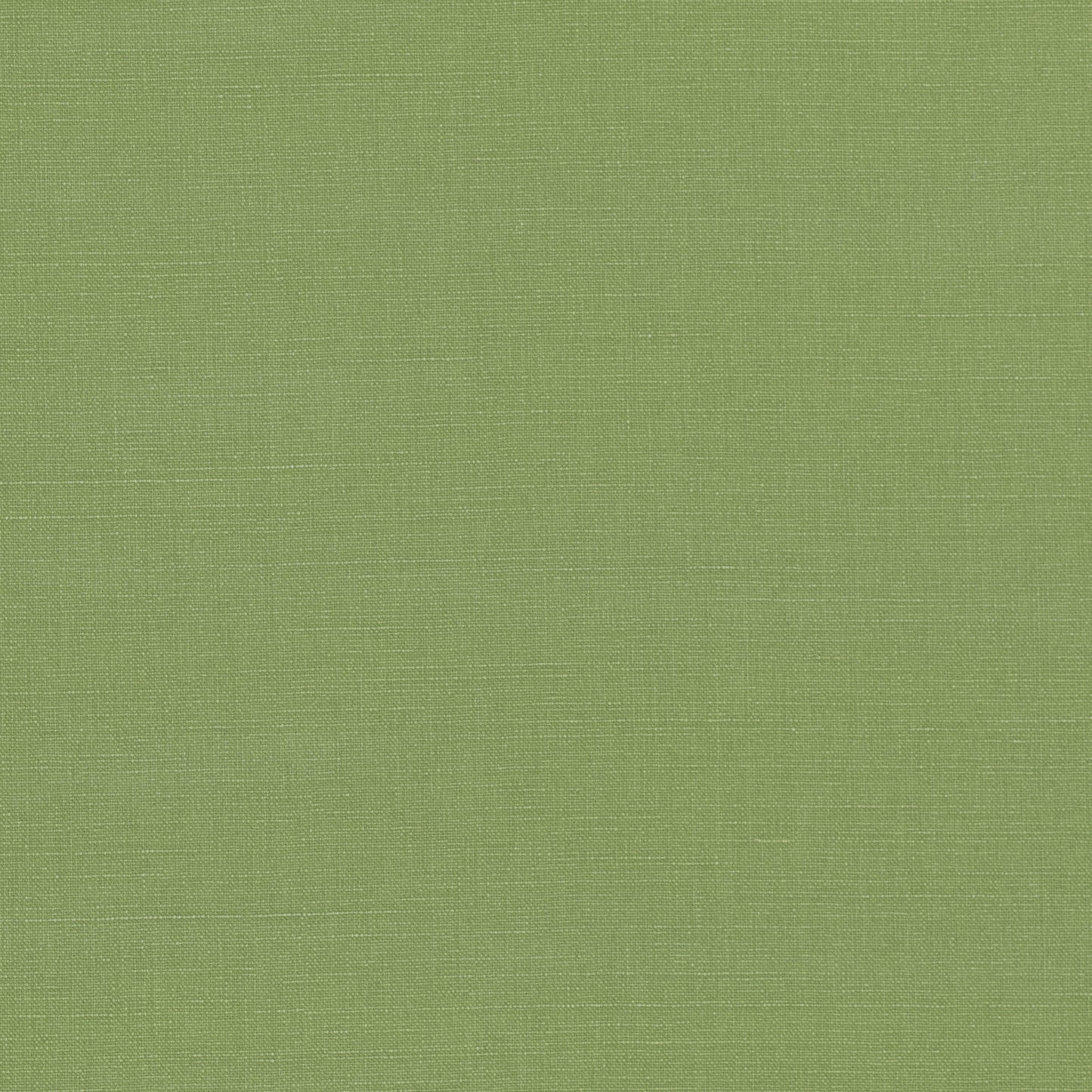 Villa Nova Geneva Grass