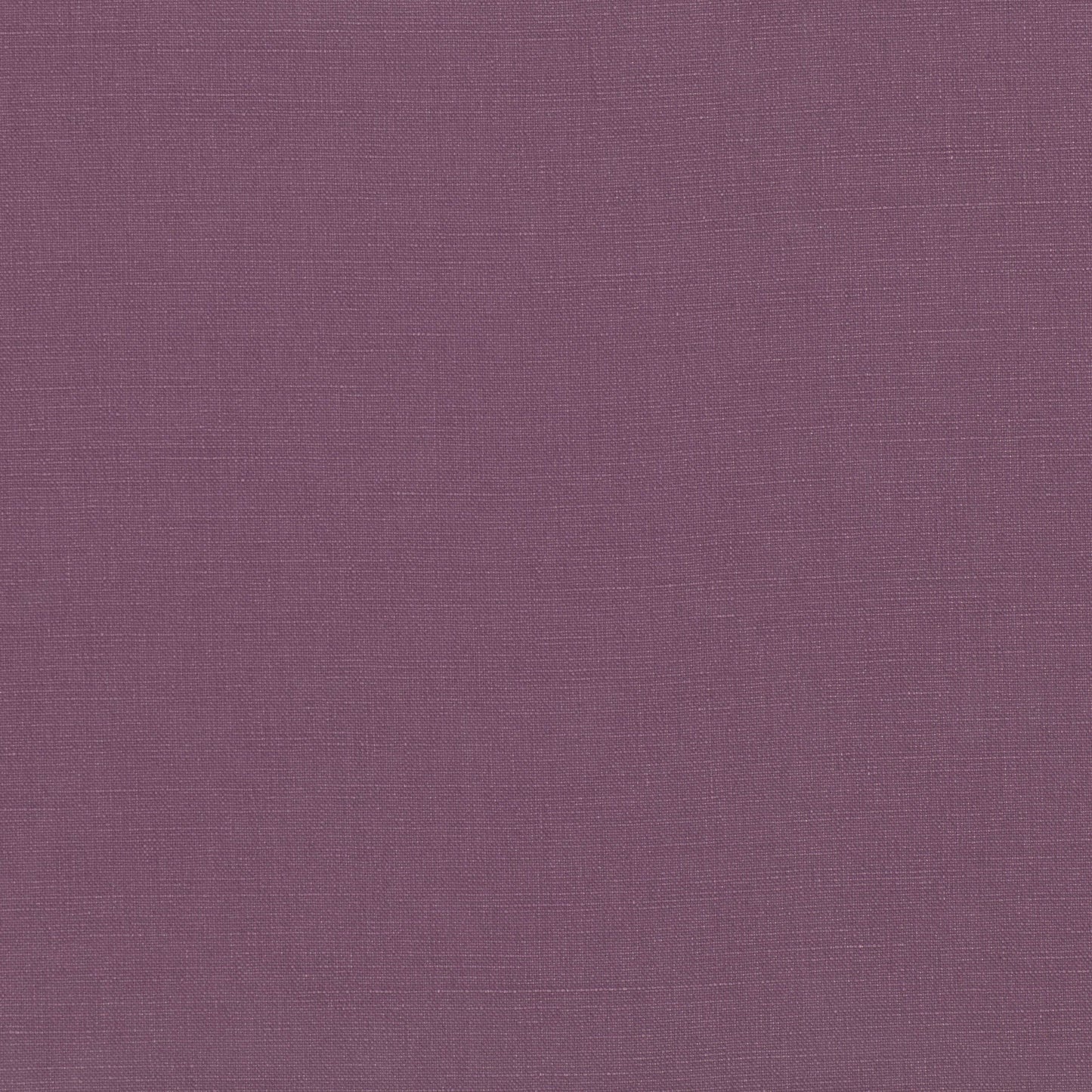 Villa Nova Geneva Iris