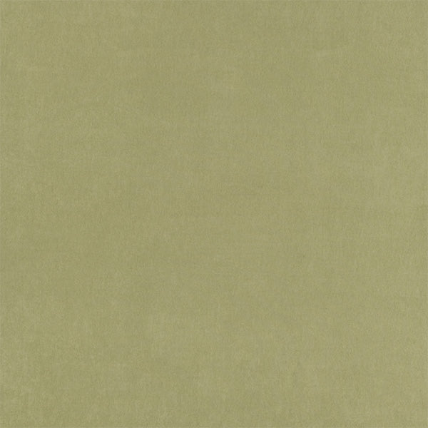 Fryetts Belvoir Recycled Pampas