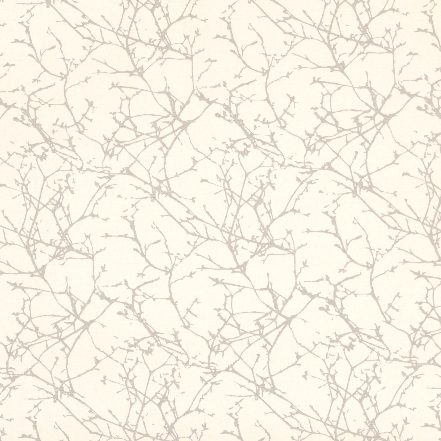Romo Acacia Oyster