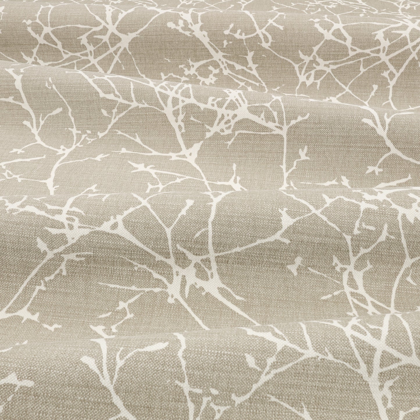 Romo Acacia String