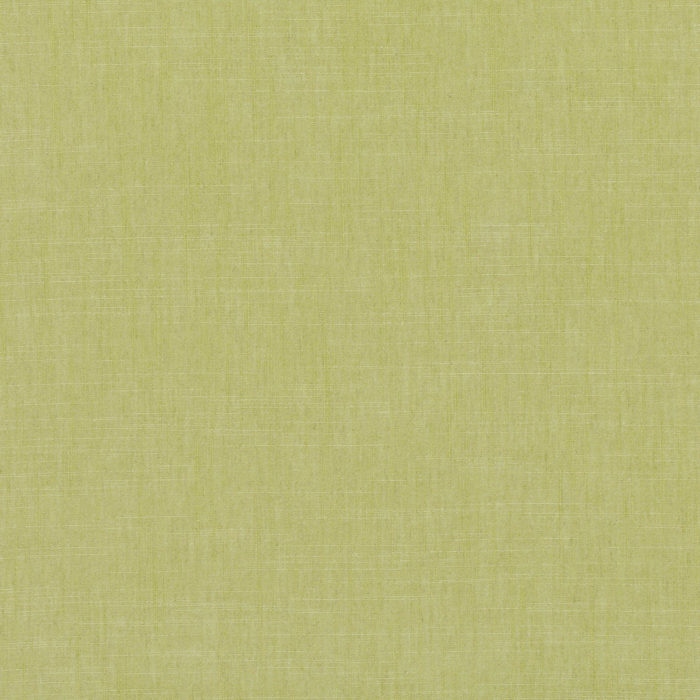 Romo Sulis Euphorbia