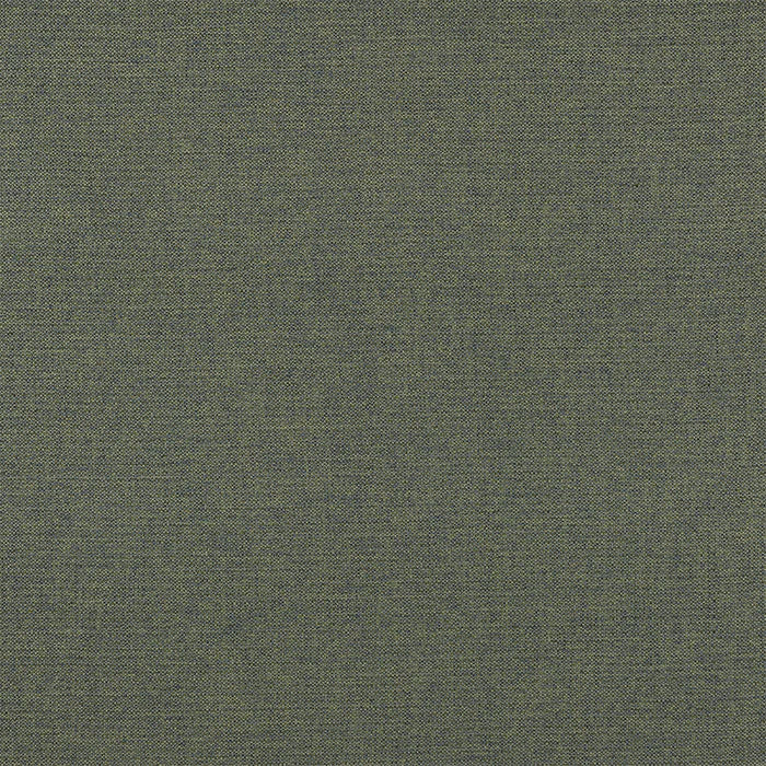 Fryetts Nevada Forrest