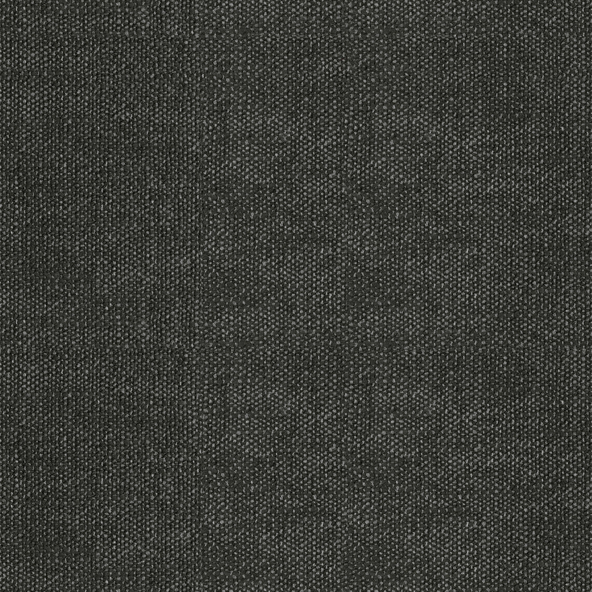 Warwick Arlington Charcoal