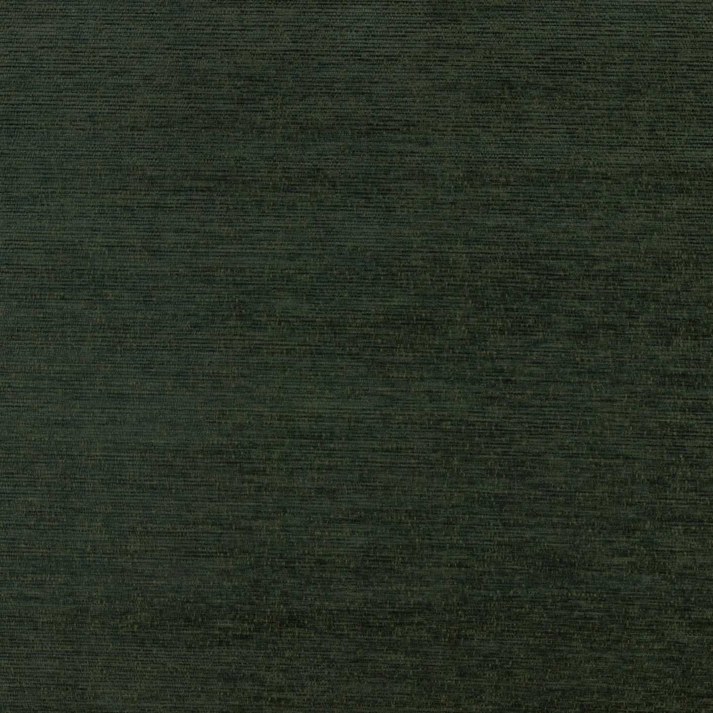 Warwick Augusta Pine