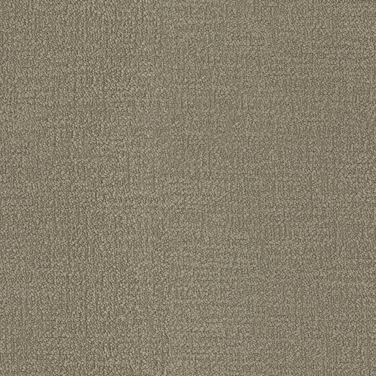 Warwick Beaufort Oat