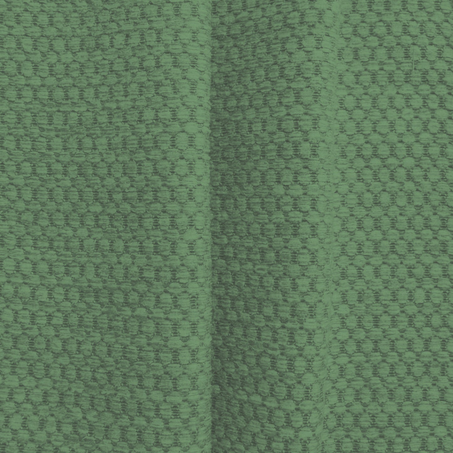 Hardys Bocastle Cactus