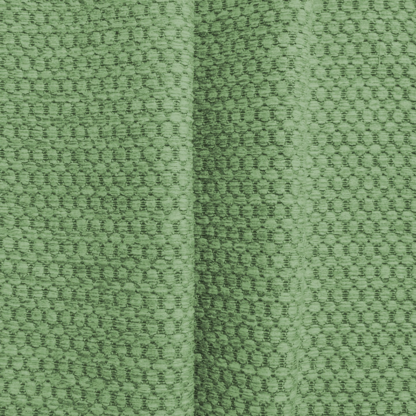 Hardys Bocastle Fern