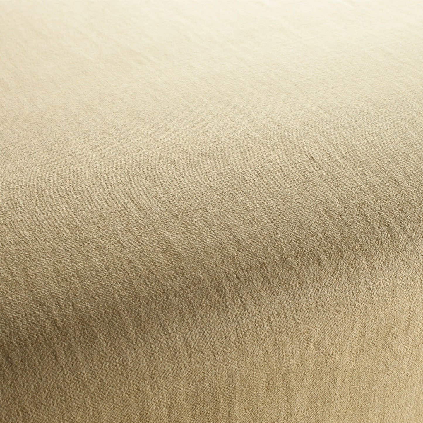 Chivasso Hot Madison Reboot Colour 45