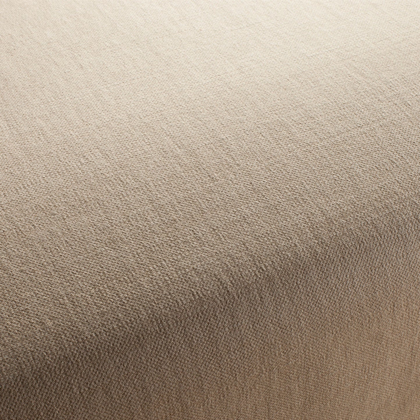 Chivasso Hot Madison Reboot Colour 24