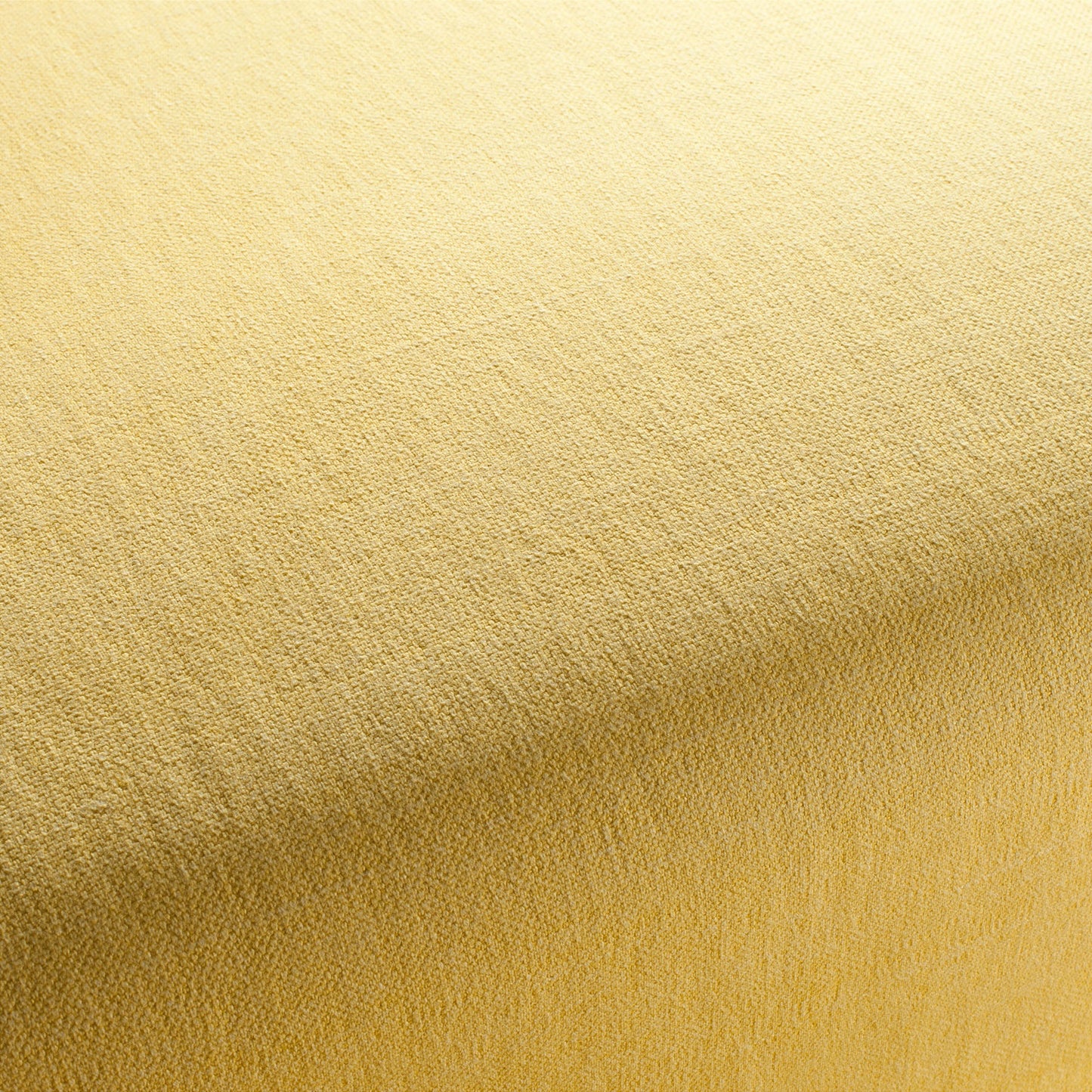Chivasso Hot Madison Reboot Colour 38