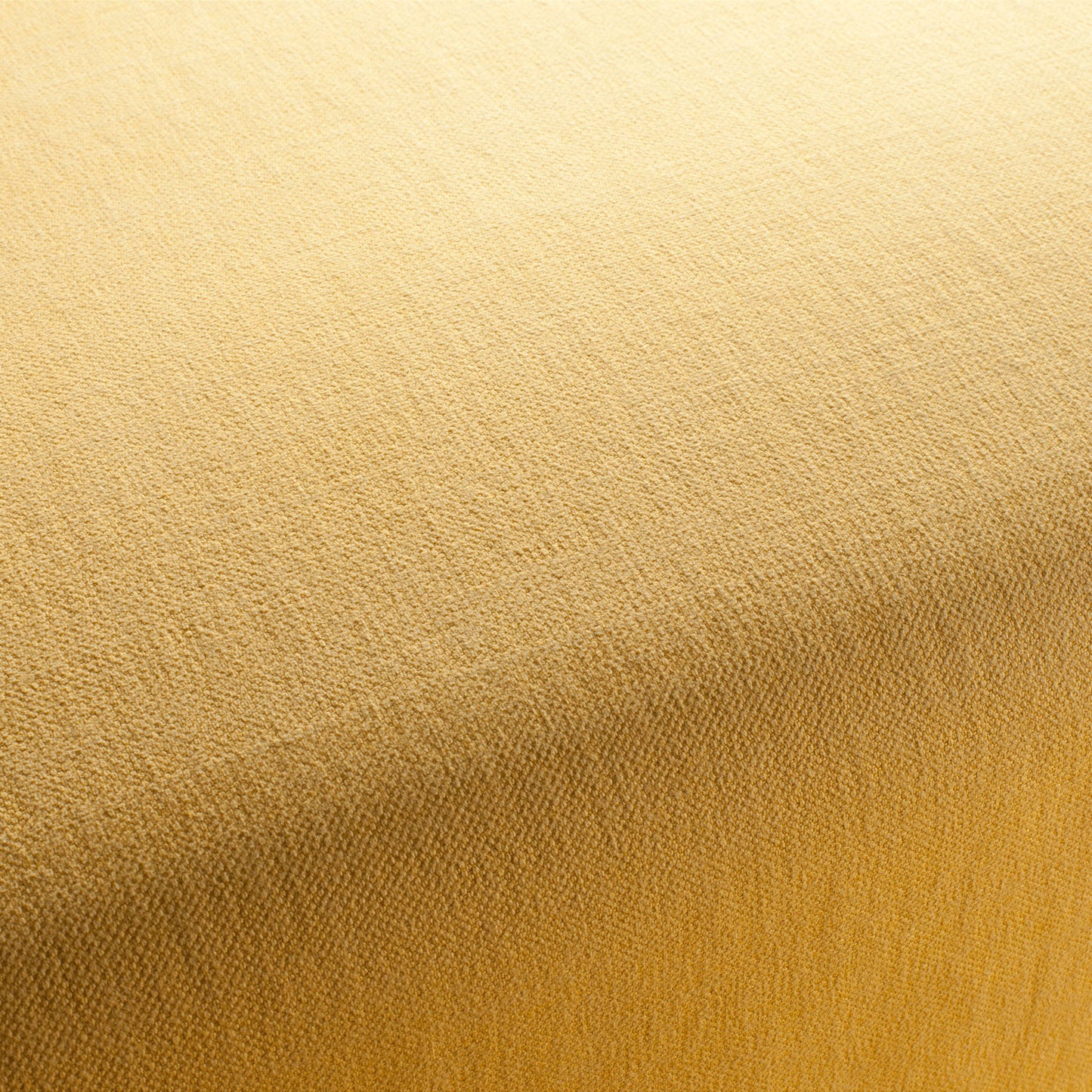 Chivasso Hot Madison Reboot Colour 37