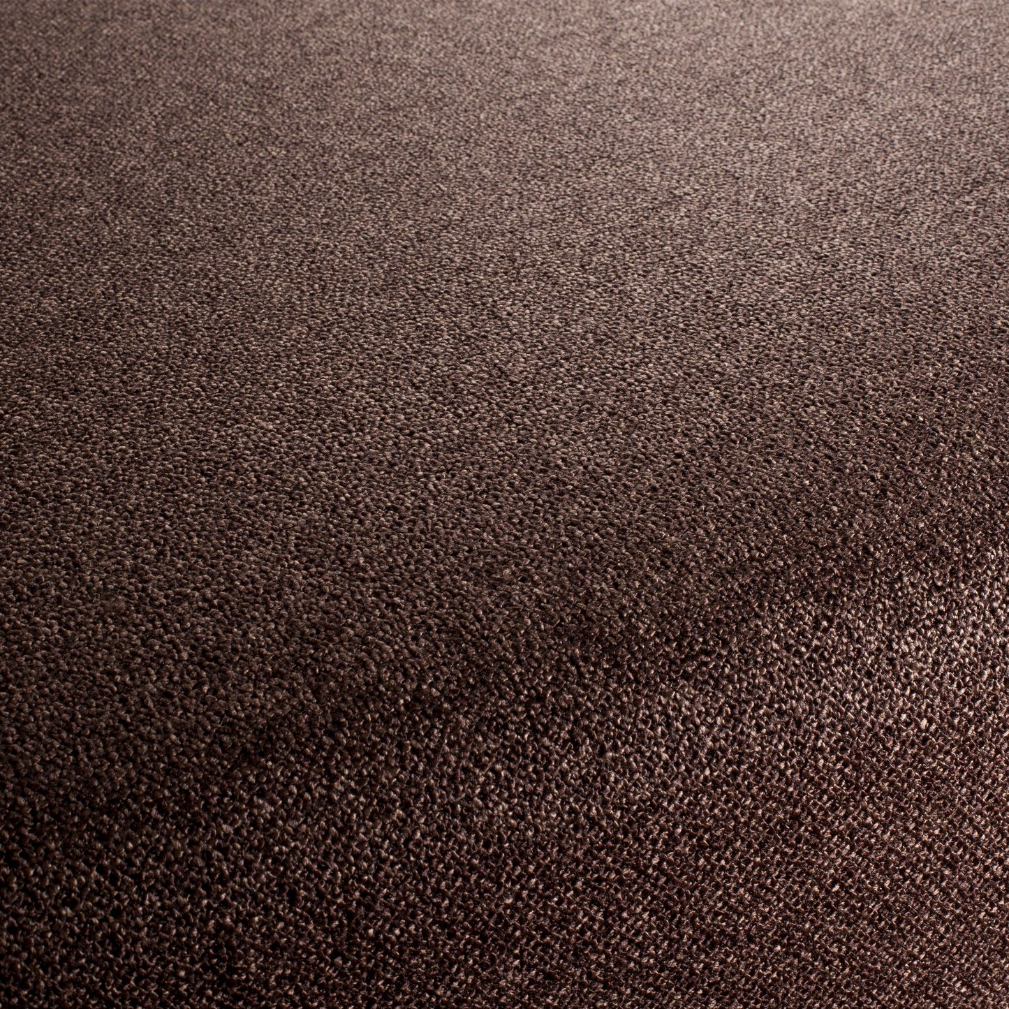 Chivasso Bonsai Reboot Colour 64