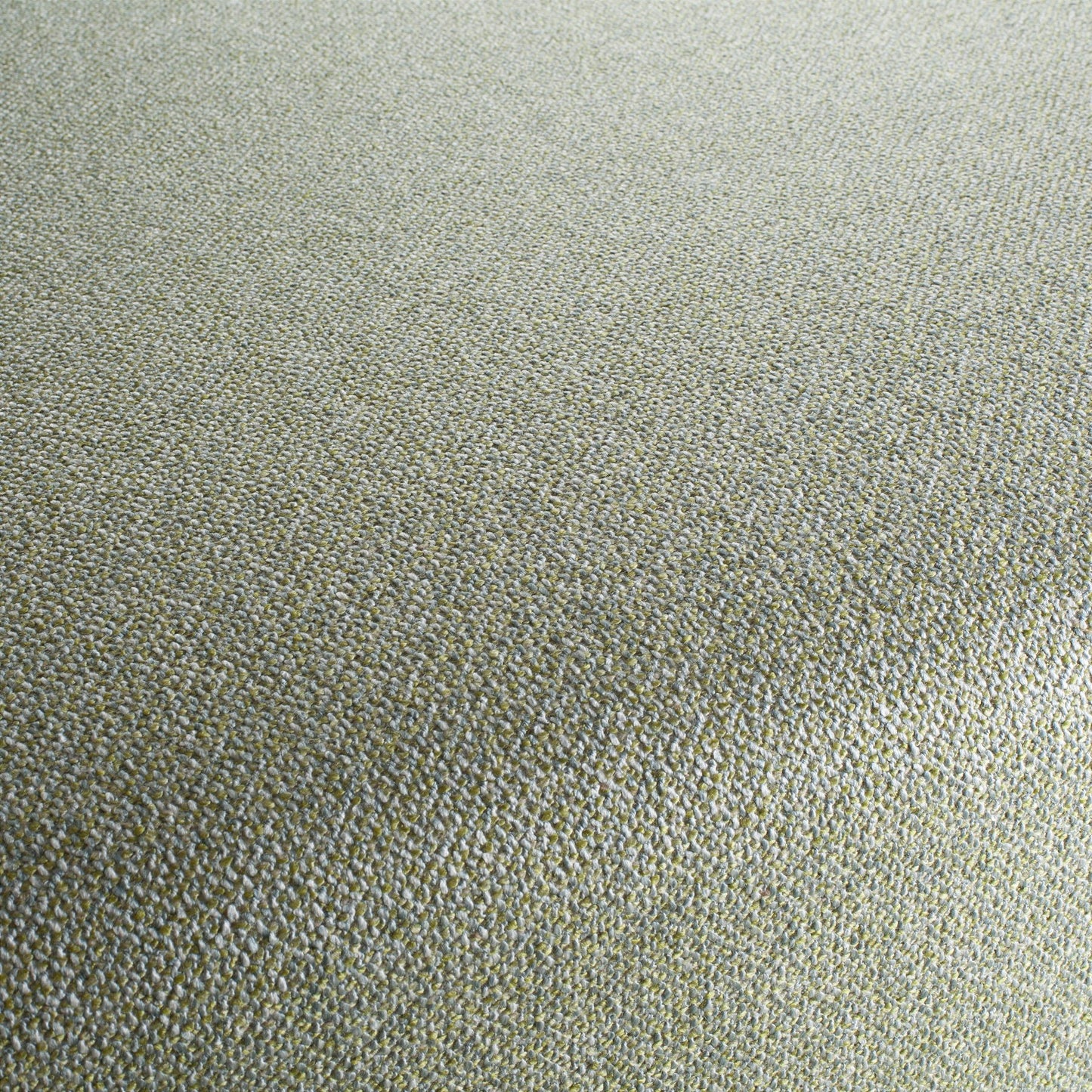 Chivasso Bonsai Reboot Colour 15