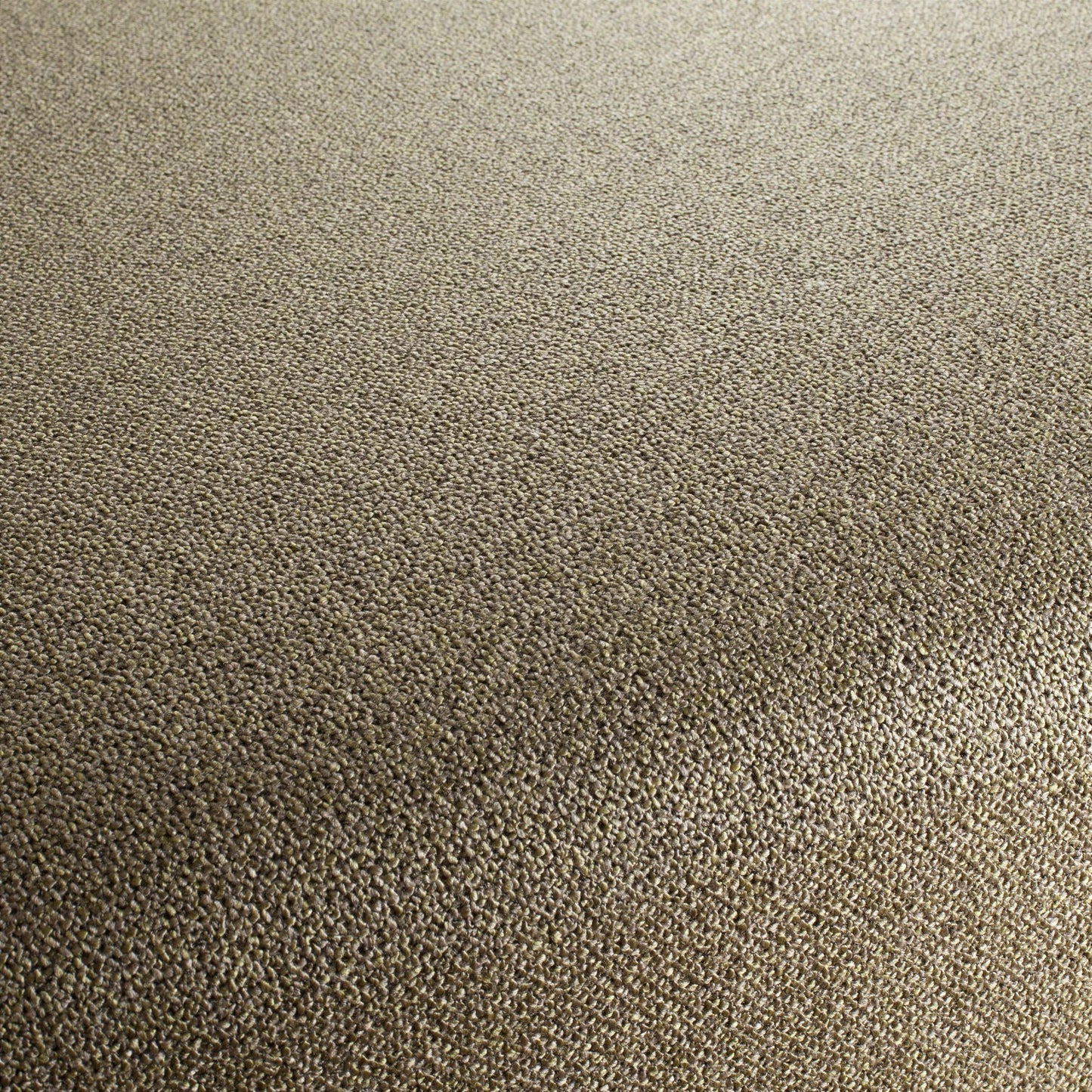 Chivasso Bonsai Reboot Colour 17