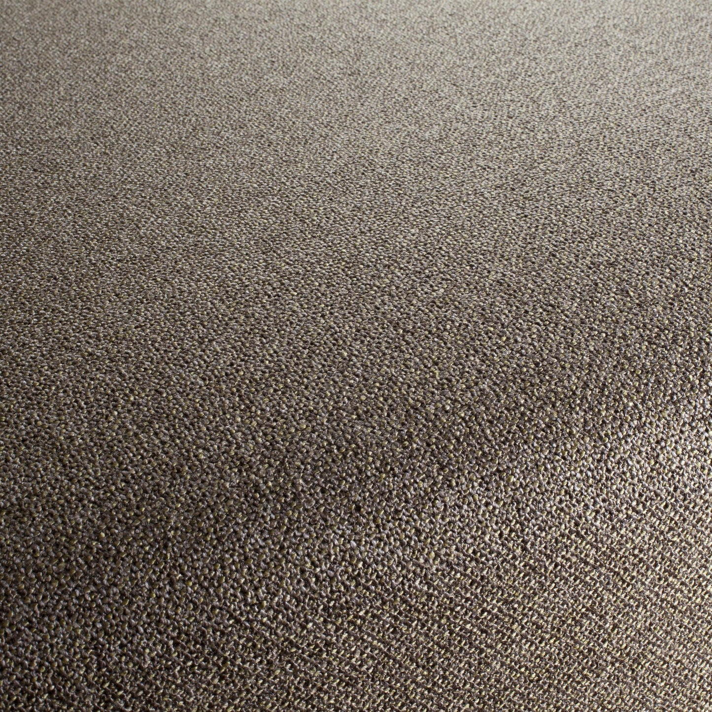 Chivasso Bonsai Reboot Colour 18