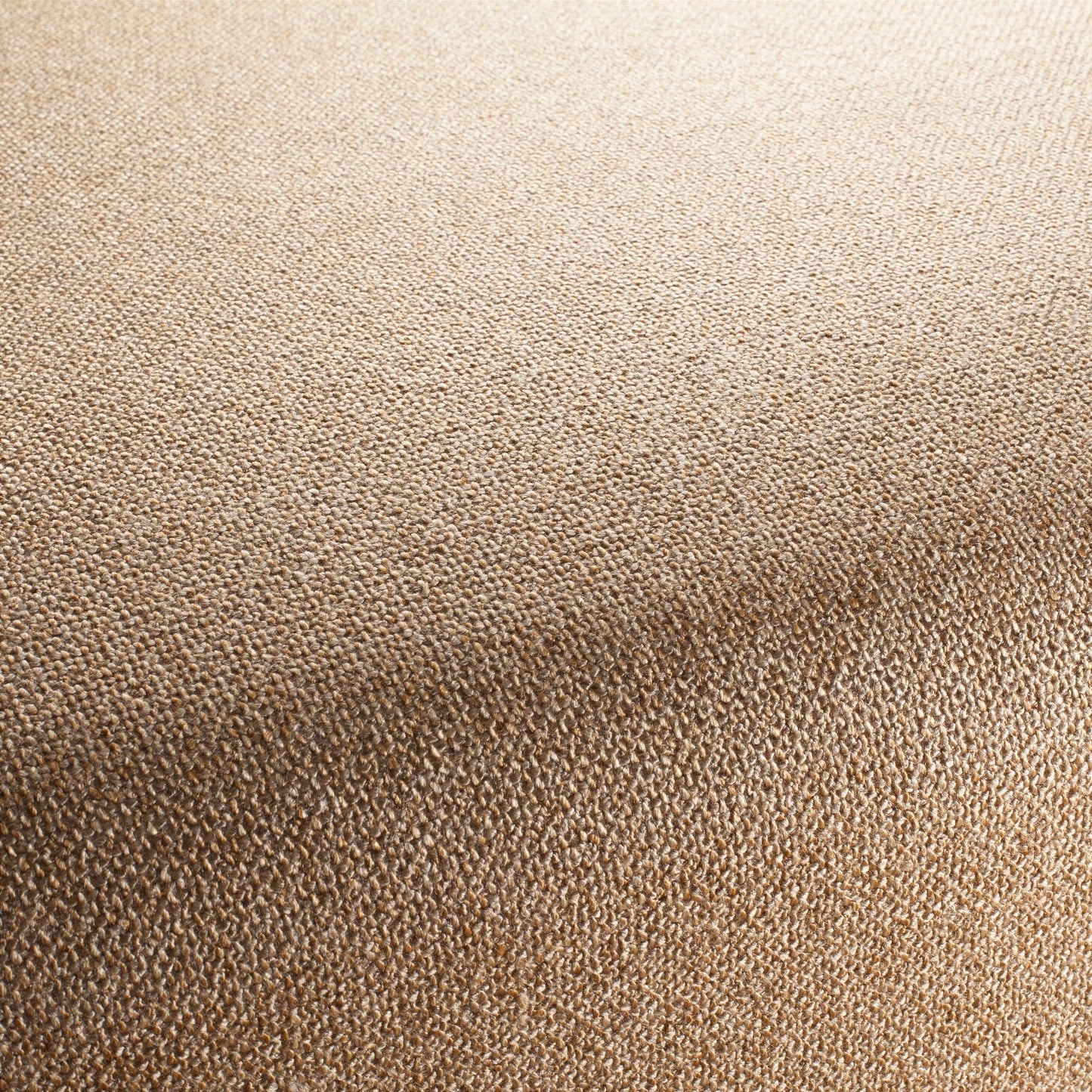 Chivasso Bonsai Reboot Colour 14