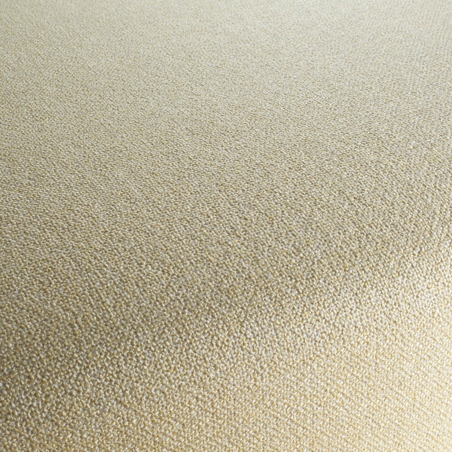 Chivasso Bonsai Reboot Colour 11