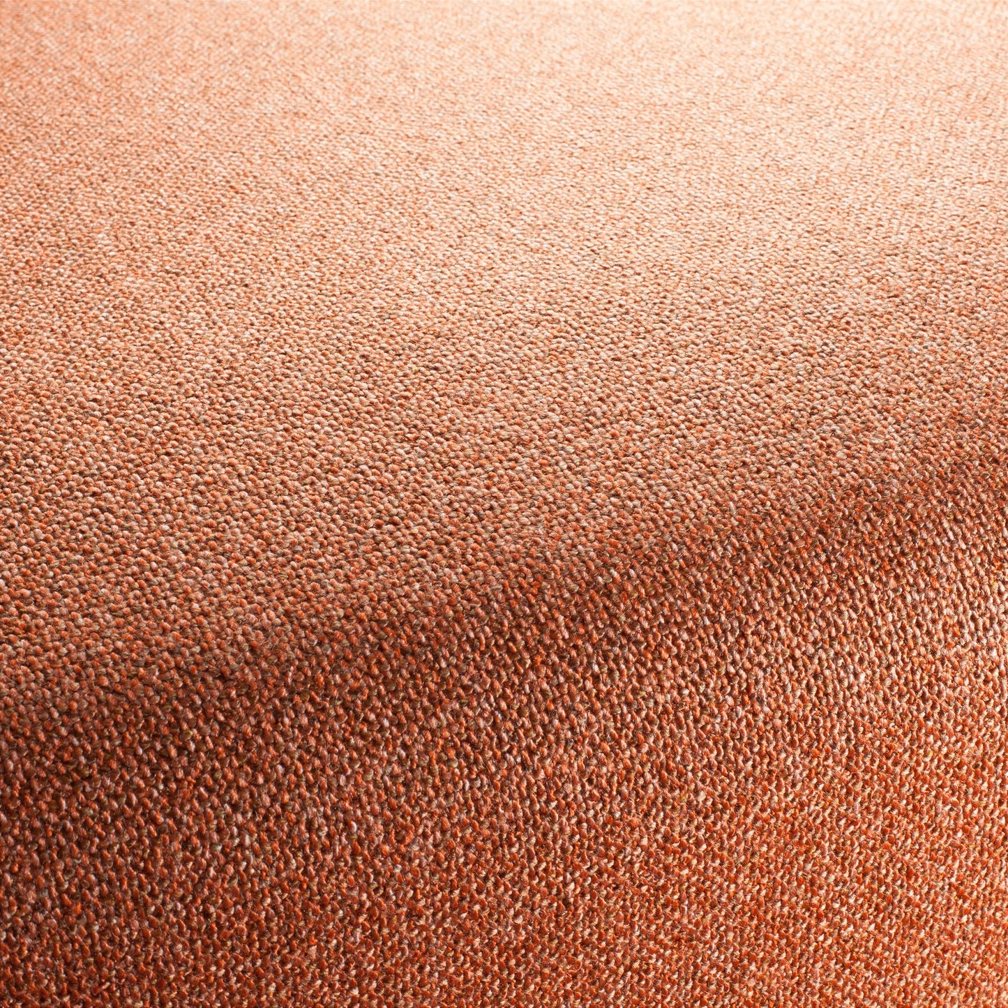 Chivasso Bonsai Reboot Colour 49