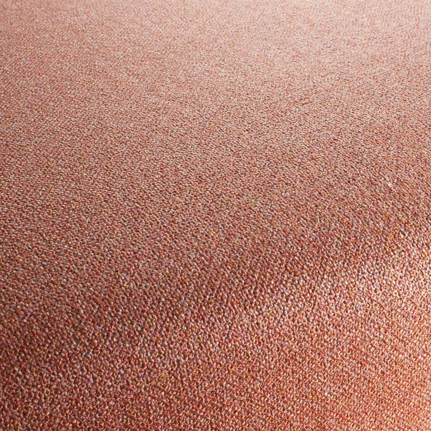 Chivasso Bonsai Reboot Colour 41