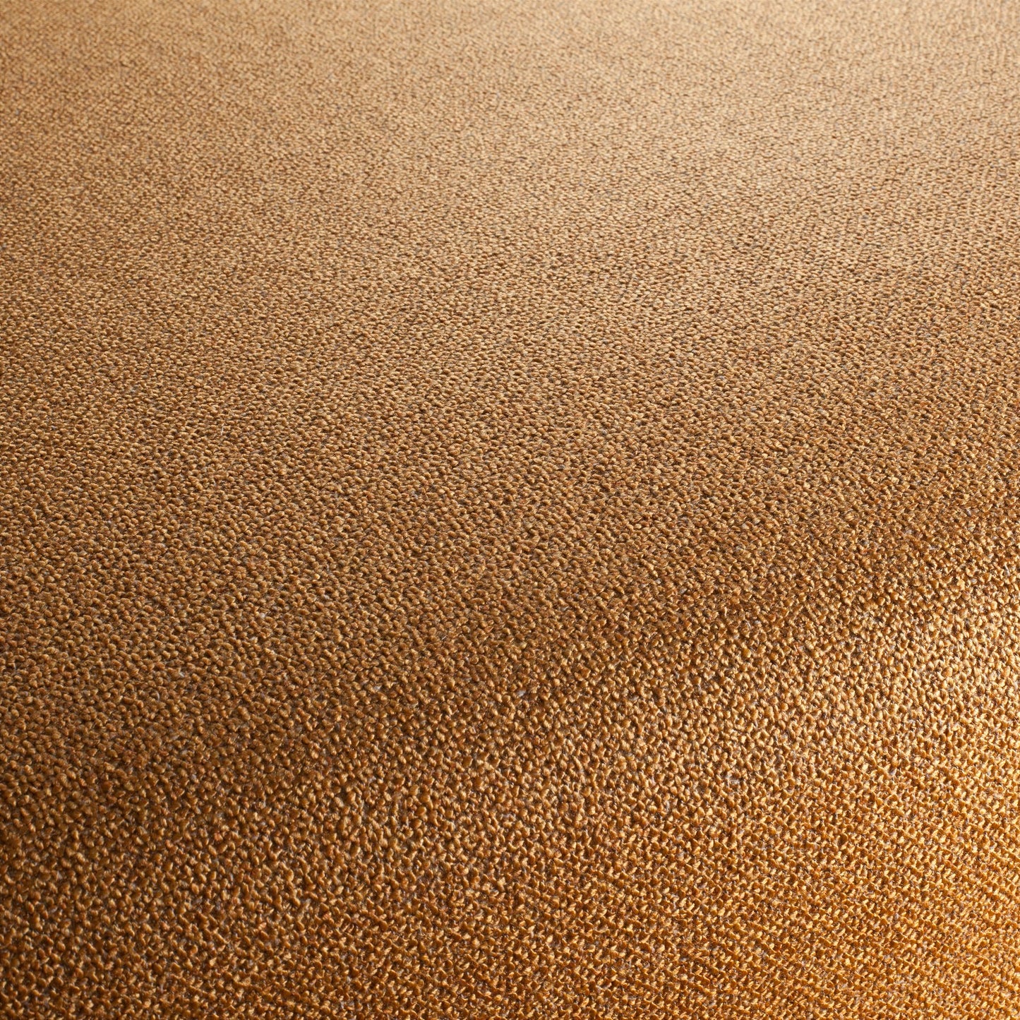 Chivasso Bonsai Reboot Colour 50