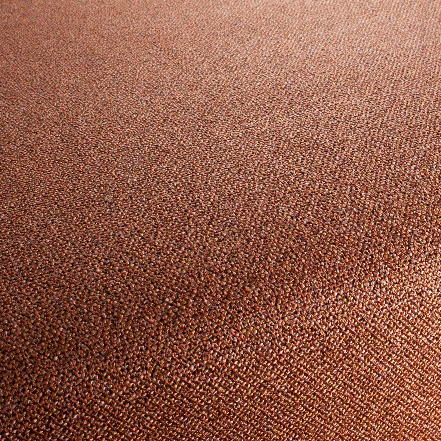 Chivasso Bonsai Reboot Colour 52