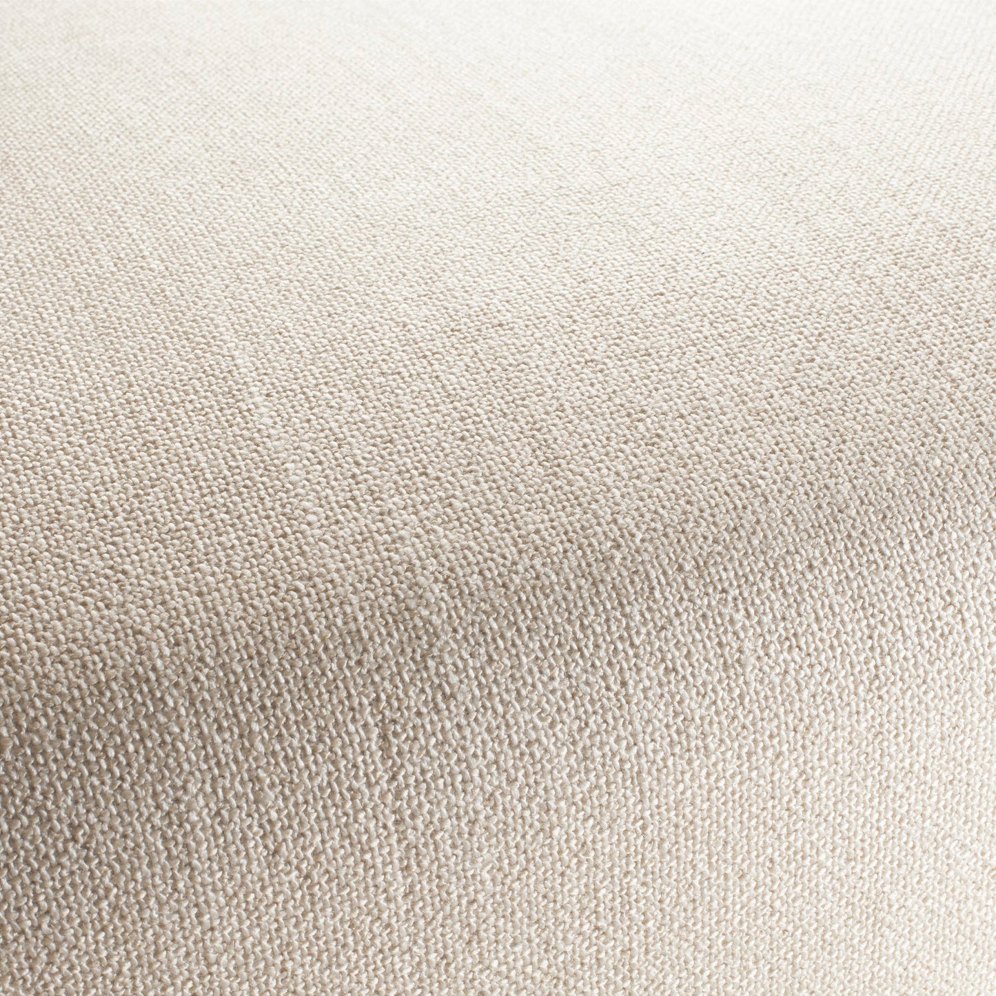 Chivasso Bonsai Reboot Colour 1