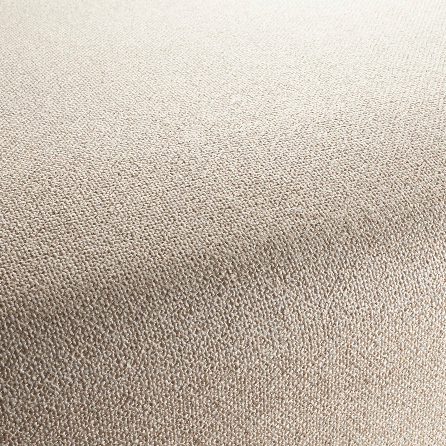 Chivasso Bonsai Reboot Colour 3