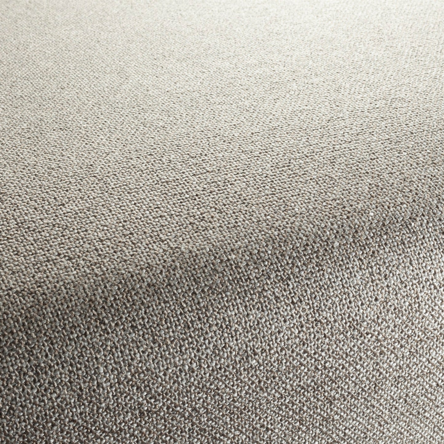 Chivasso Bonsai Reboot Colour 9