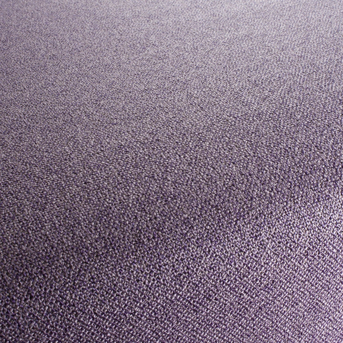 Chivasso Bonsai Reboot Colour 38