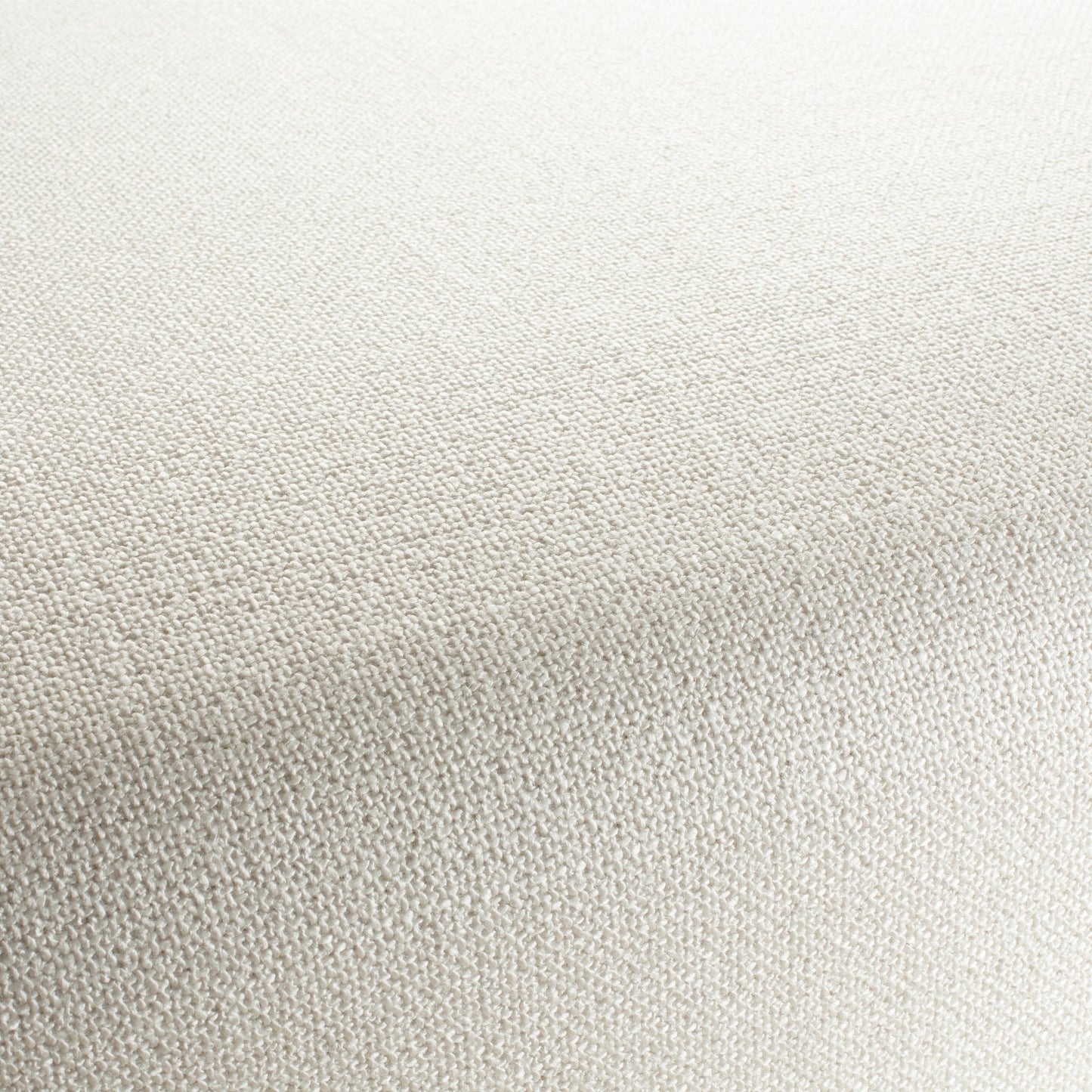 Chivasso Bonsai Reboot Colour 2