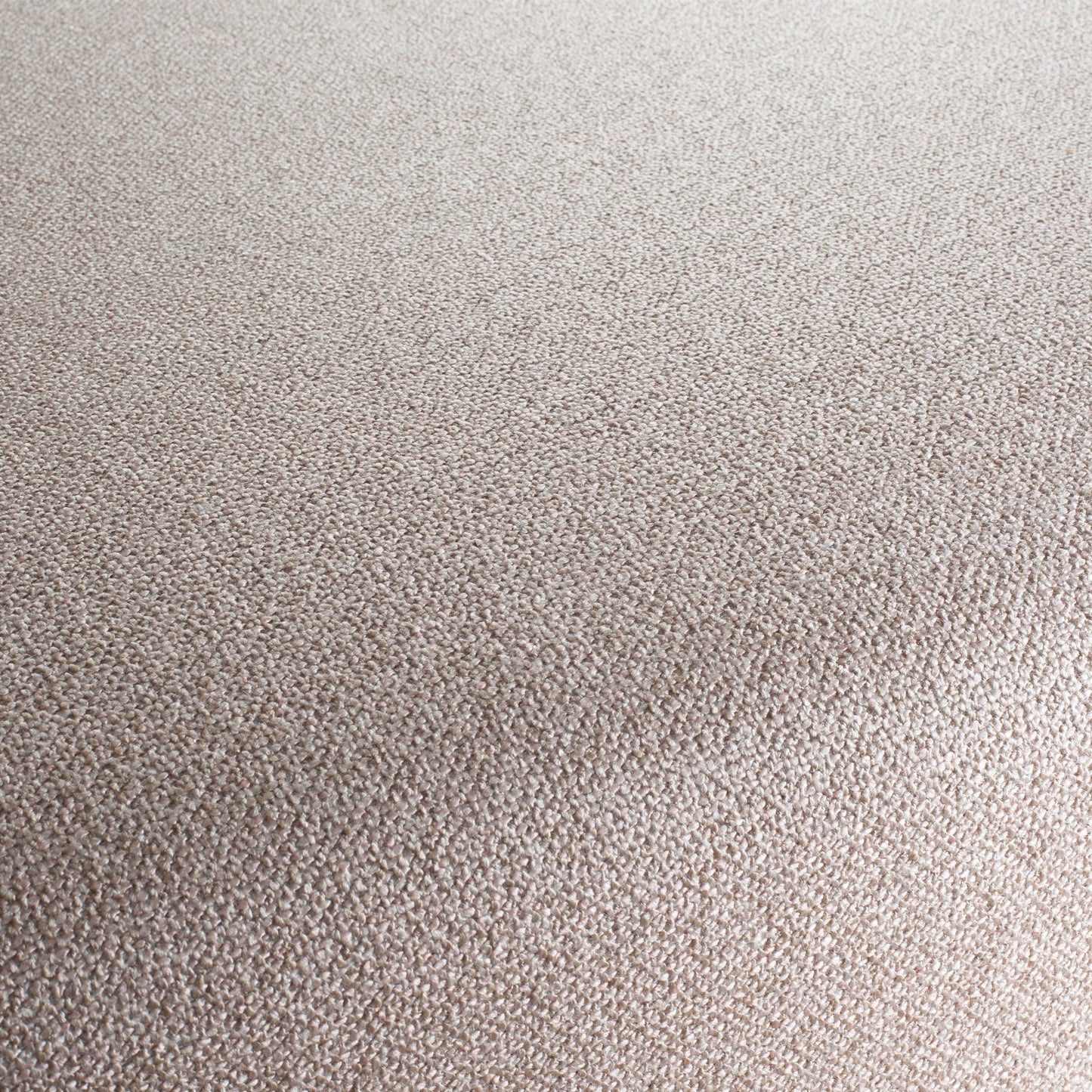 Chivasso Bonsai Reboot Colour 4