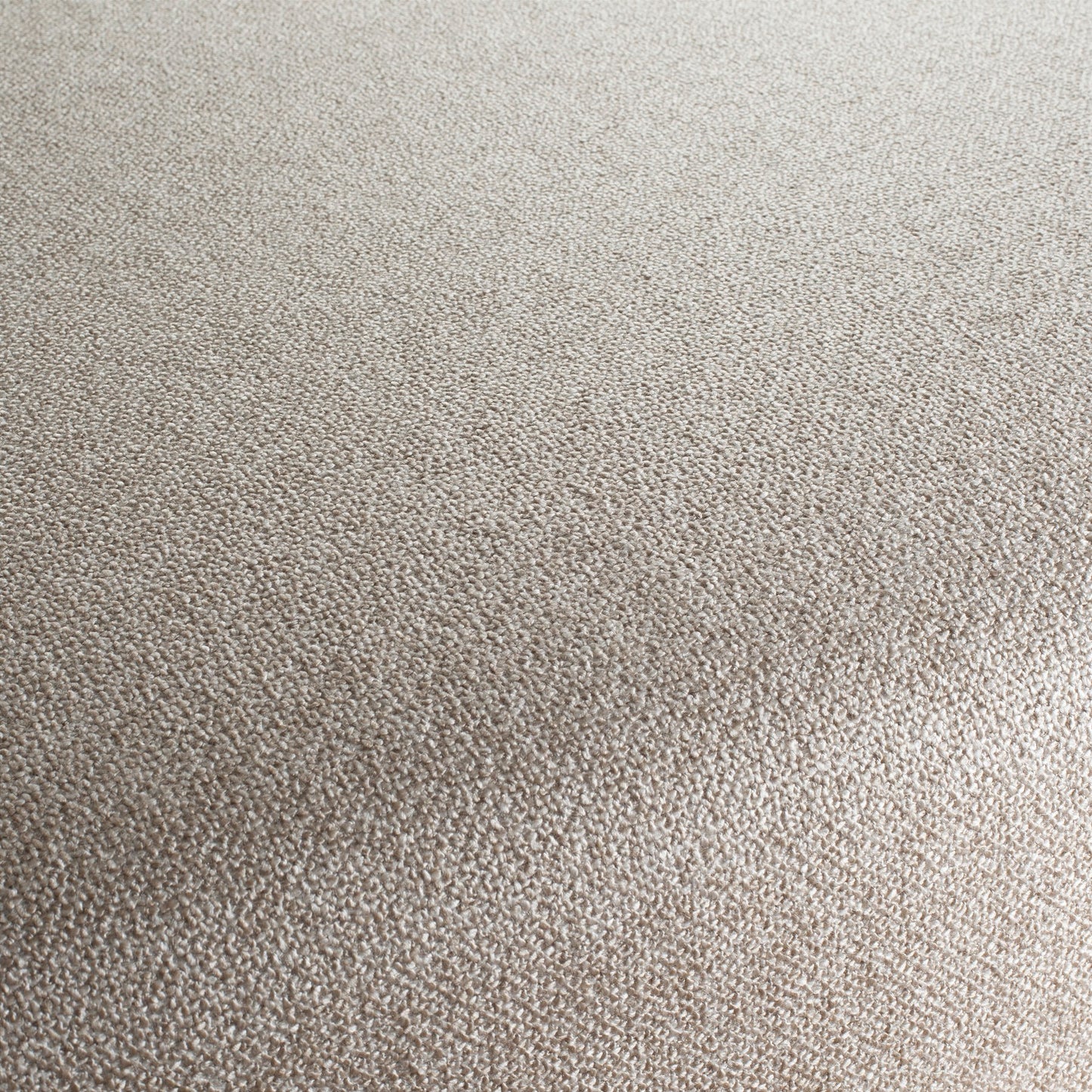 Chivasso Bonsai Reboot Colour 8