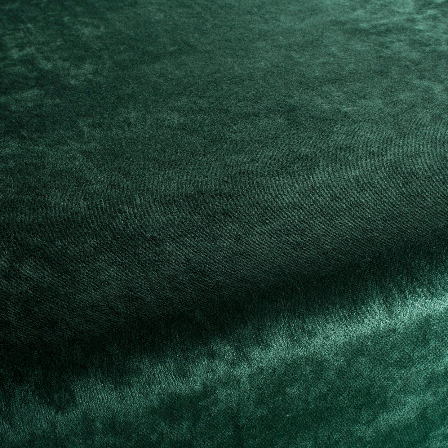 Chivasso Gangster Colour 16