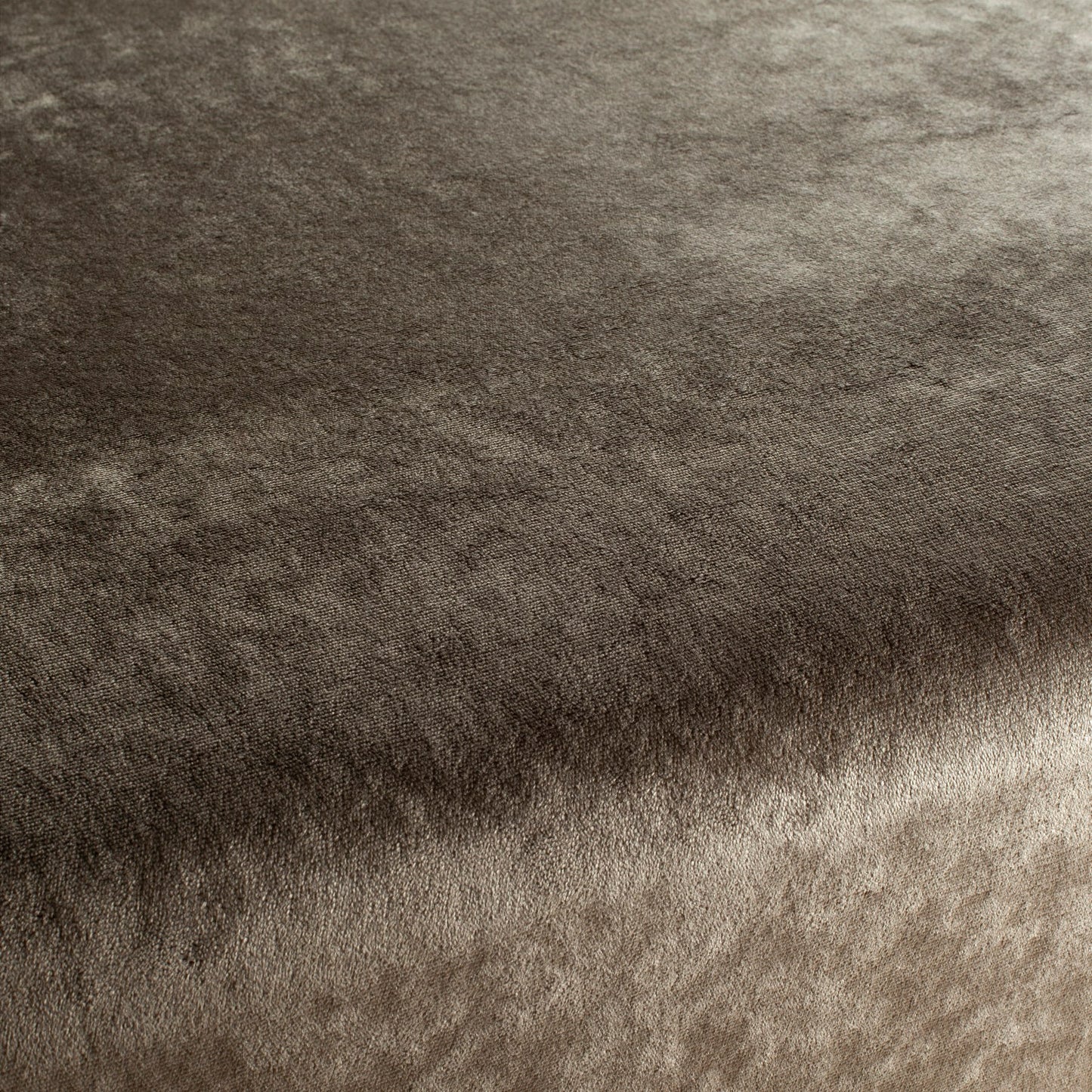 Chivasso Gangster Colour 12