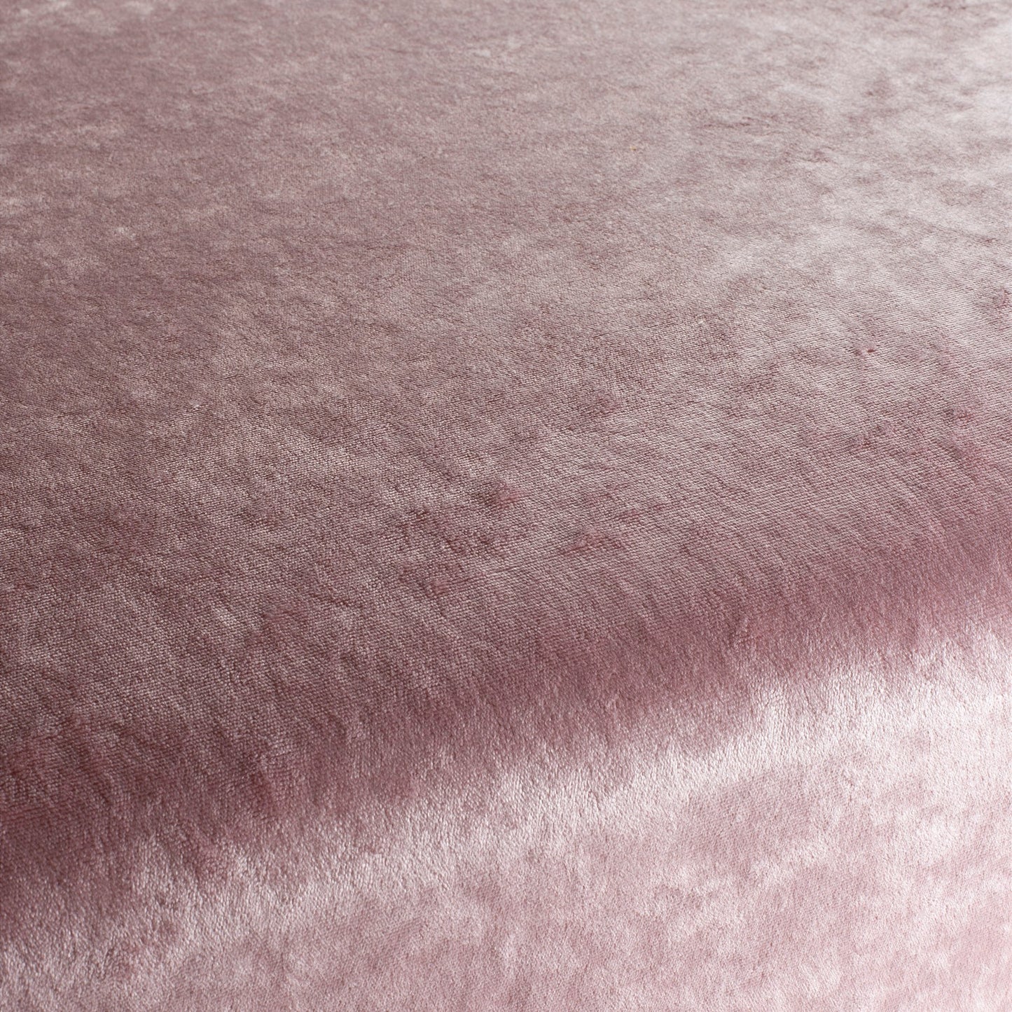 Chivasso Gangster Colour 30