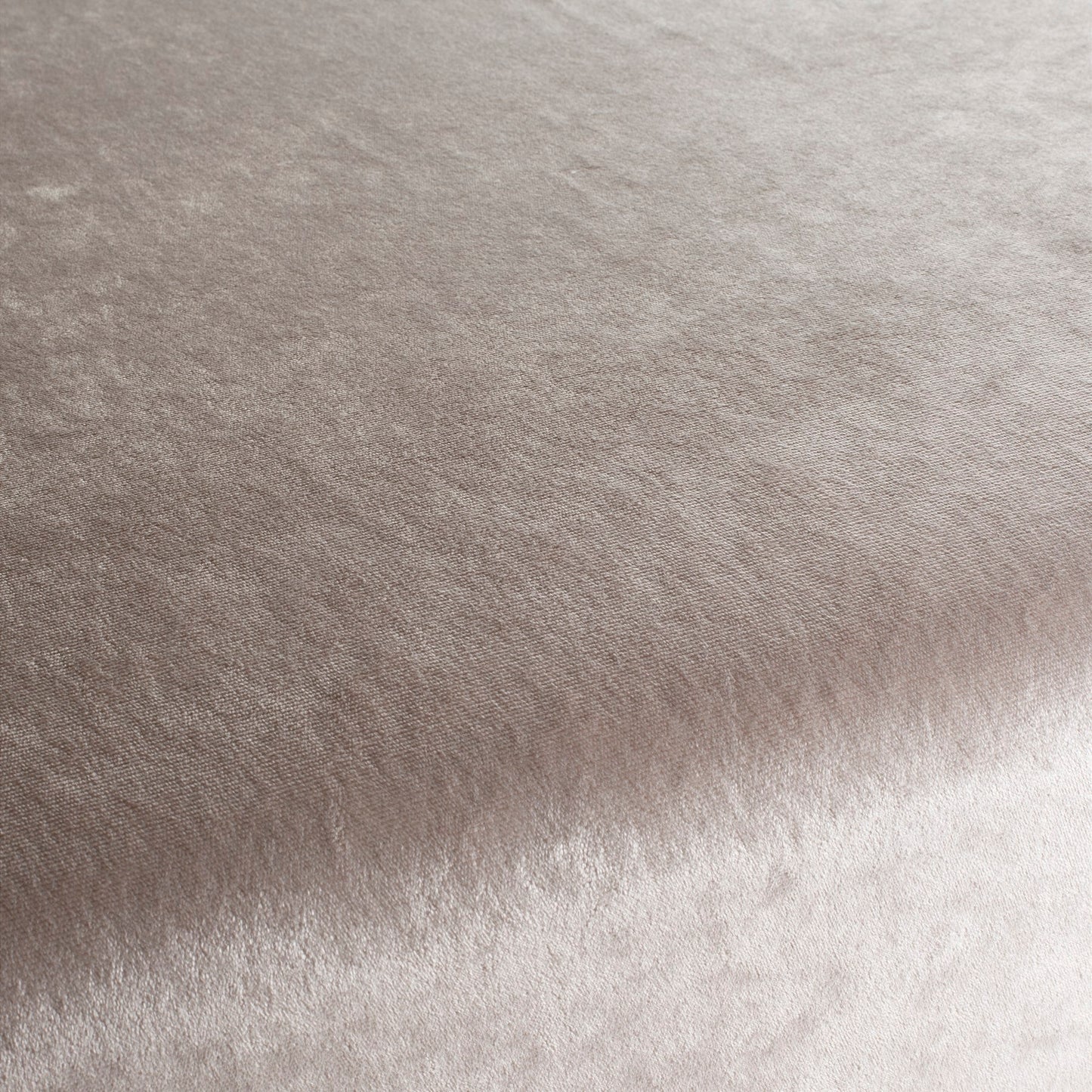 Chivasso Gangster Colour 2