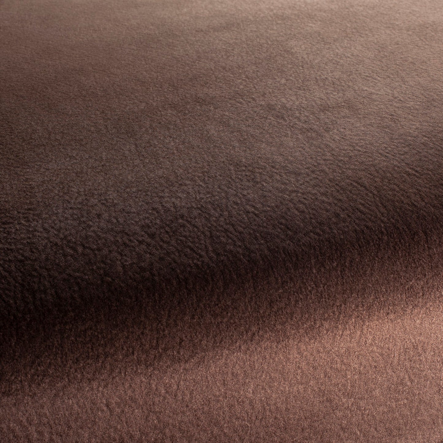 Chivasso by Your Side Colour 23