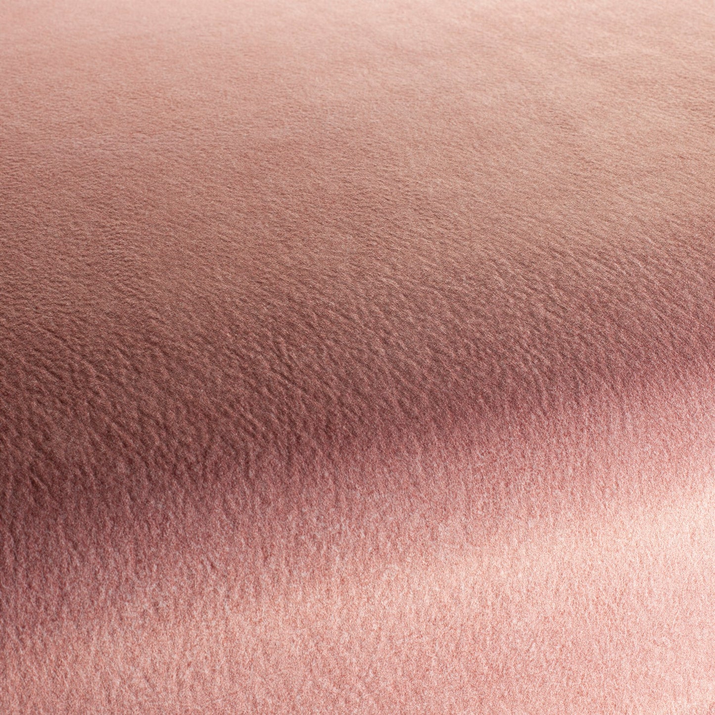 Chivasso by Your Side Colour 16