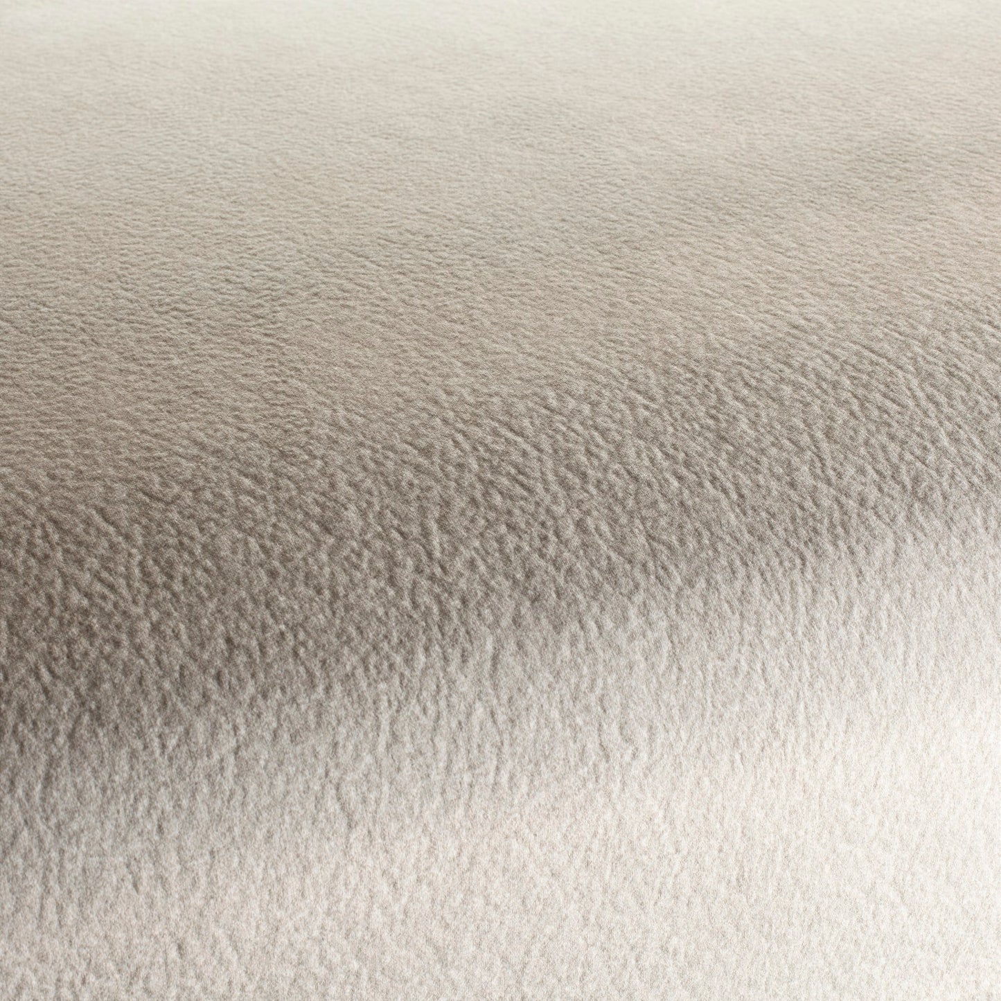 Chivasso by Your Side Colour 4