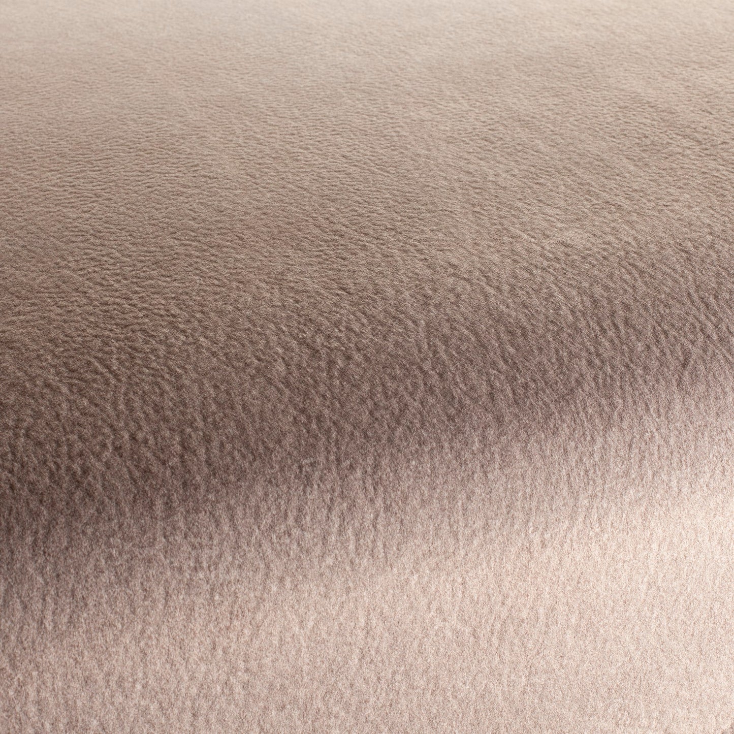 Chivasso by Your Side Colour 6