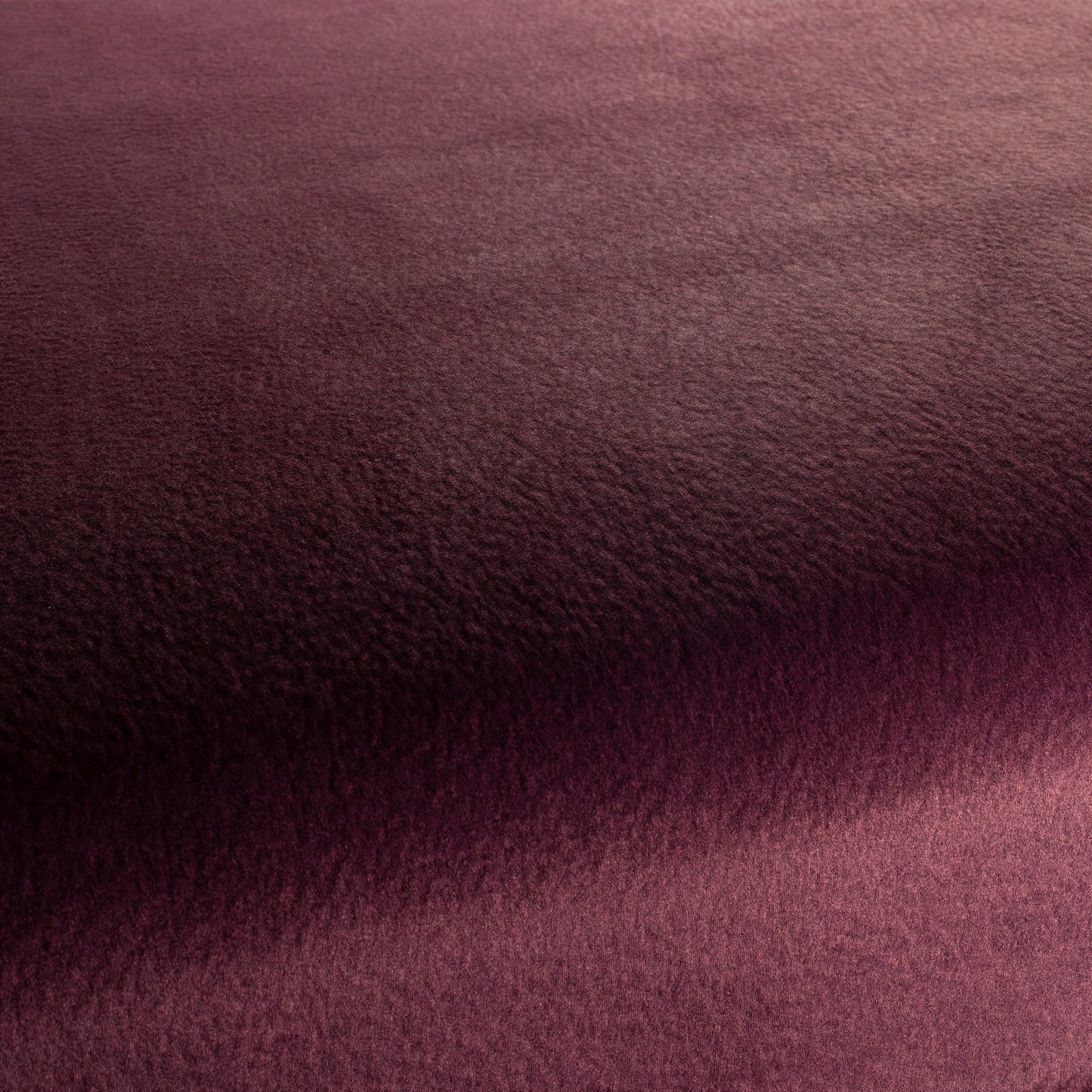 Chivasso by Your Side Colour 15