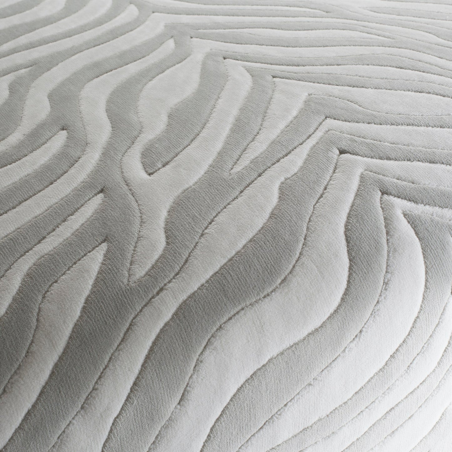 Chivasso Wild Shape Colour 2