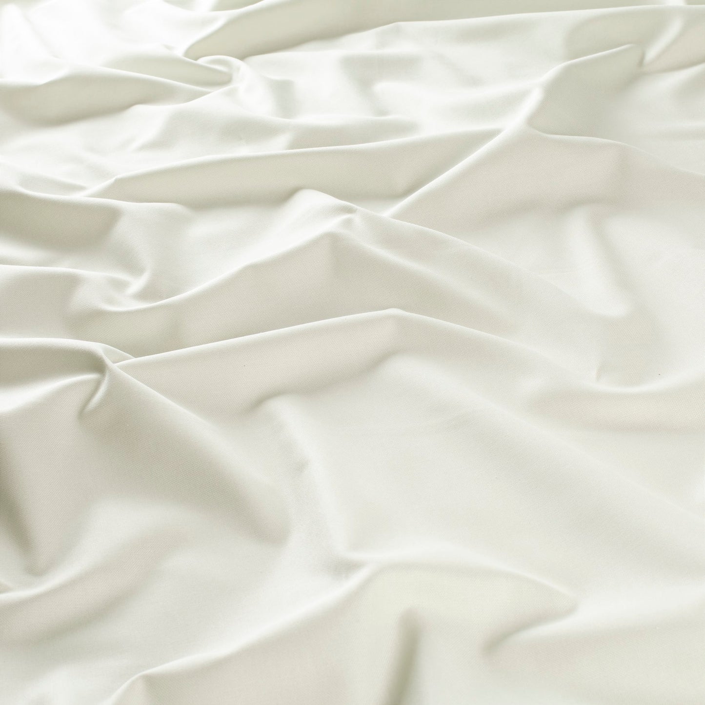 Chivasso Boombastic 10