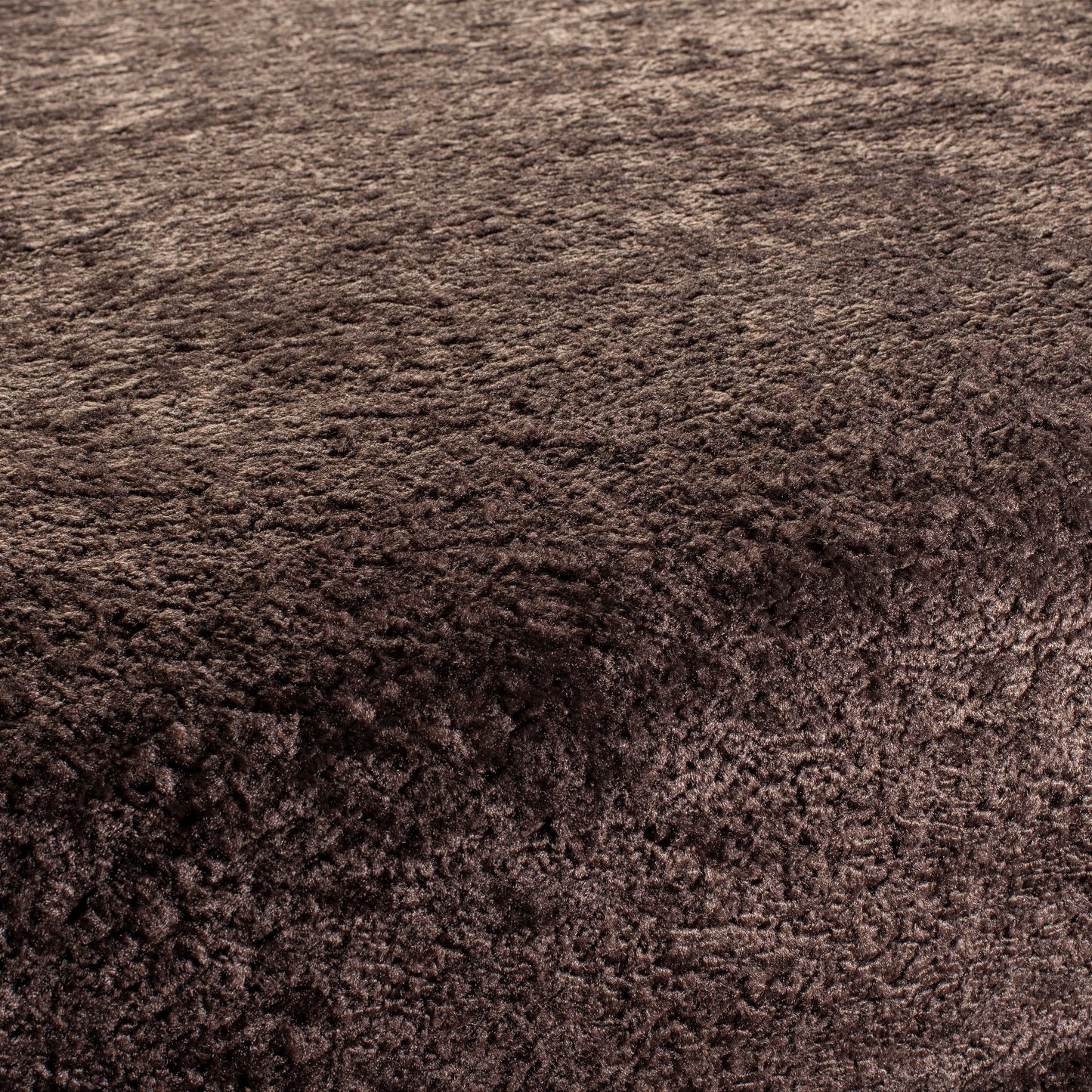 Chivasso Wild & Pure Colour 18