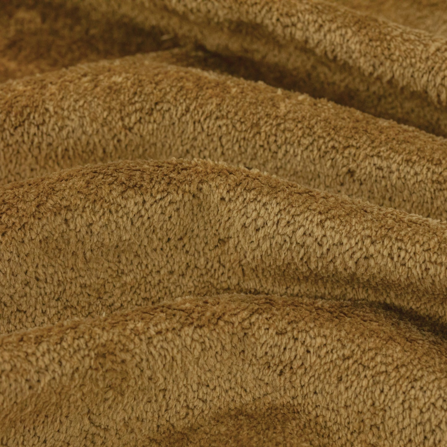 Warwick Cecconi Honey