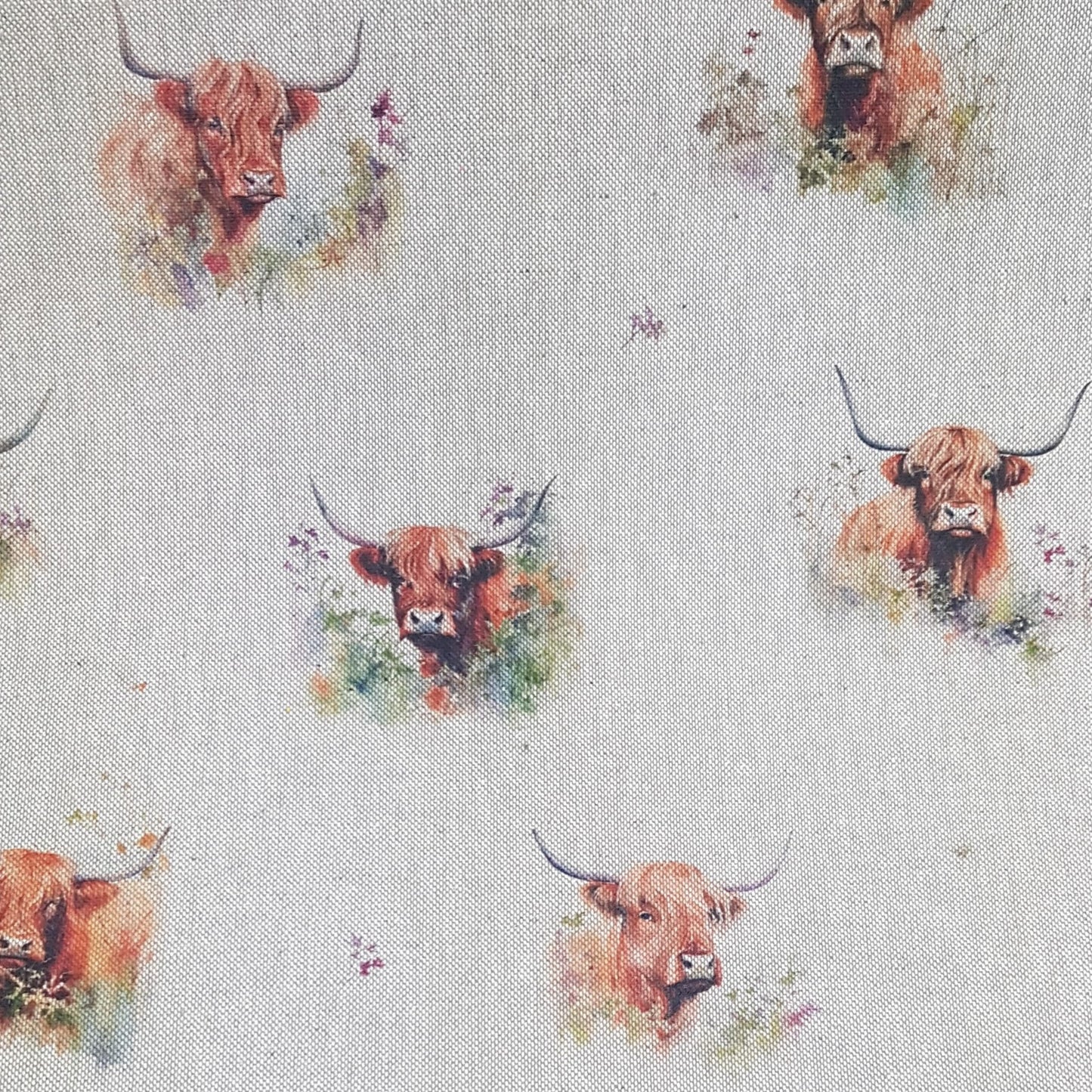 Chatham Glyn Hedgerow Highland Cow All Over
