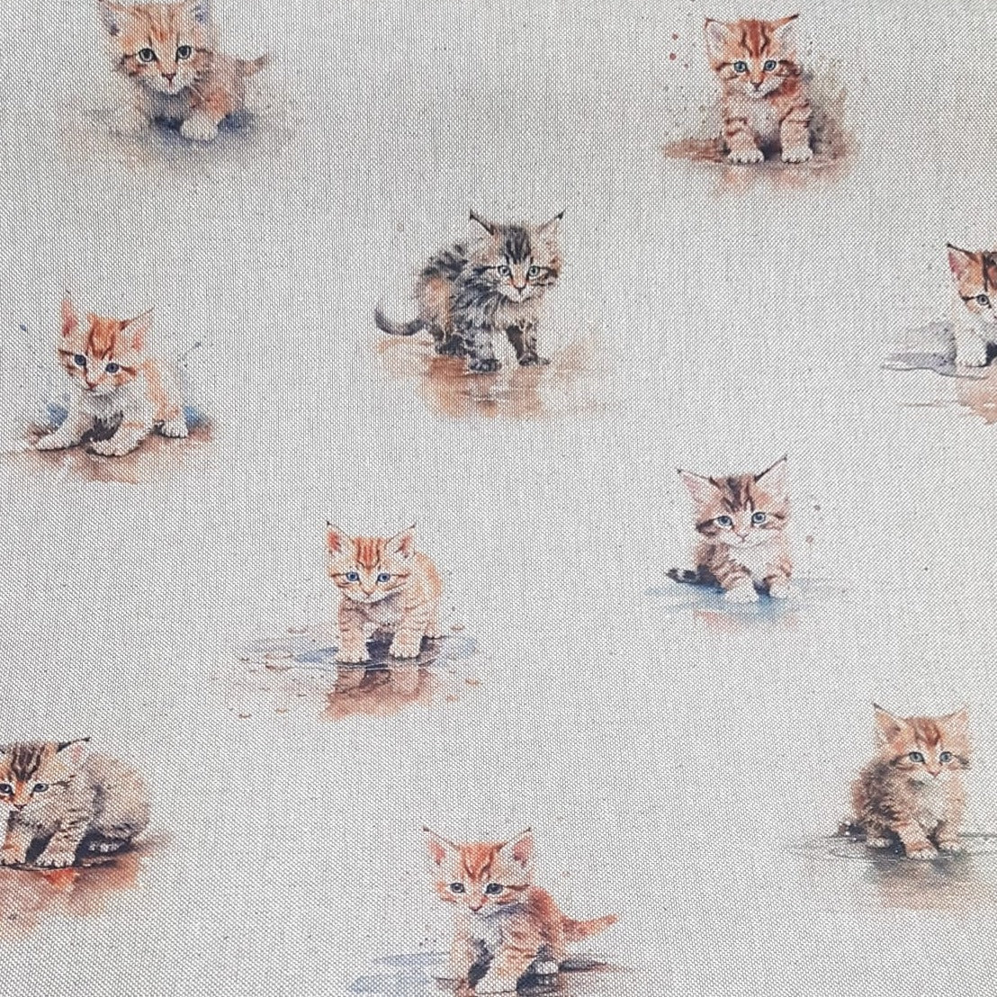 Chatham Glyn Puddle Kittens All Over