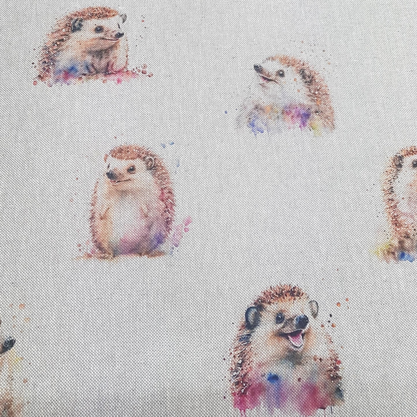 Chatham Glyn Happy Hedgehog All Over