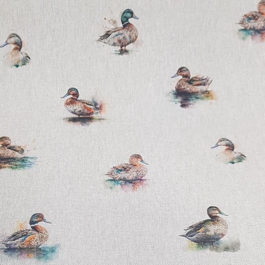 Chatham Glyn Watercolour Ducks All Over